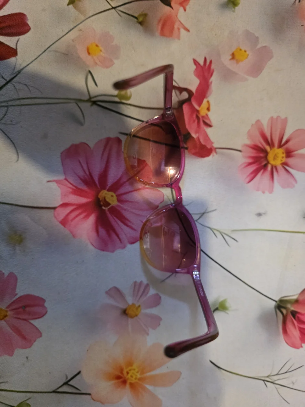 Pink Gradient Women's Sunglasses